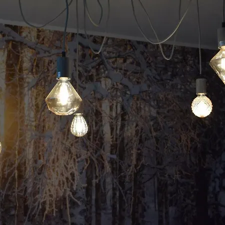 Birch Forest *