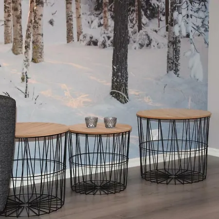Birch Forest Rovaniemi