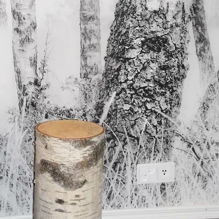 Birch Forest * Rovaniemi