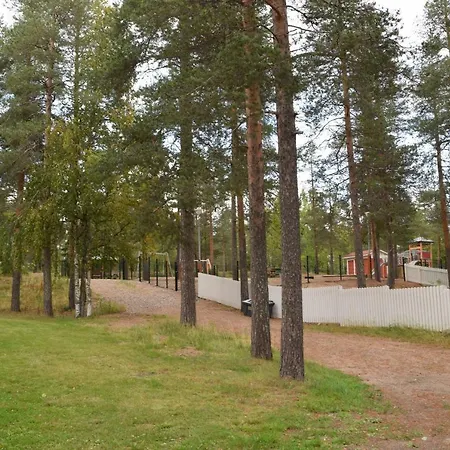 Birch Forest Huoneisto