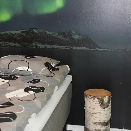 Birch Forest