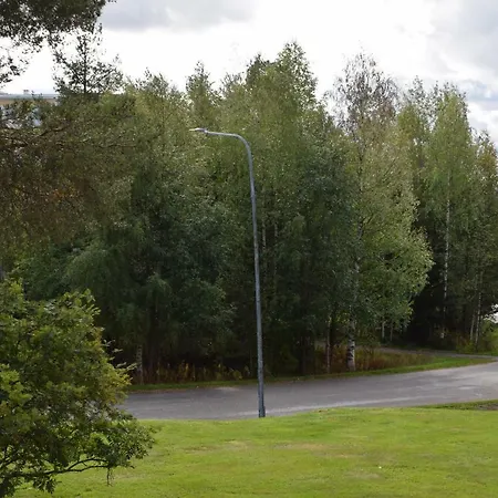 Birch Forest *